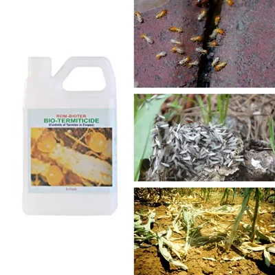 ROM 1 liter Bioter Liquid Biopesticide | Used to Control Termites in Crops
